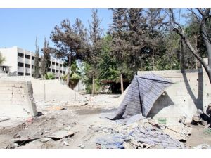 Suriye'de 55 kişi öldü