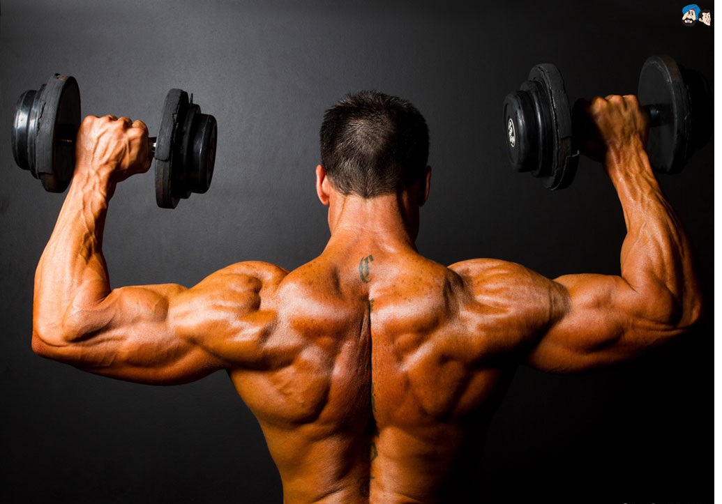 Protein tozu çeşitleri ve fiyatları