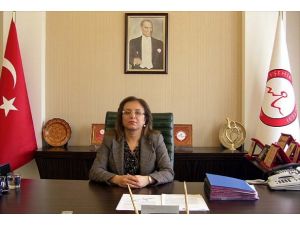 Hacı Bektaş Veli Üniversitesi'nde logo hazırlığı