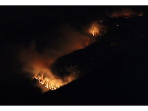 Uludağ'da orman yangını