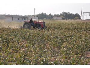 Çözüm sürecinden GAP'a imaj katkısı