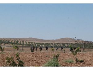 Suriye'ye geçmeye çalışan kaçakçı gruplara müdahale