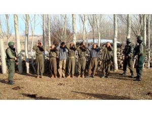 Şırnak'ta 11 terörist teslim oldu