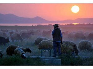 Çobanlara mesleki kariyer ismi