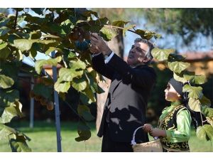 Ordu ve Giresun gezilerini Twitter'da değerlendirdi