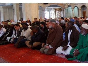 Ezher'den Angola'ya heyet gönderilmesi çağrısı