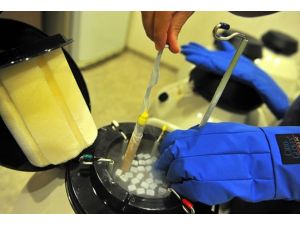 Tüp bebek uygulamasında yeni yöntem