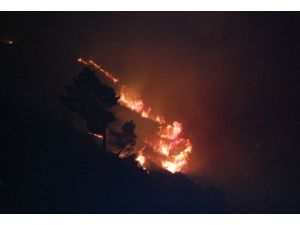 Mersin'de orman yangını