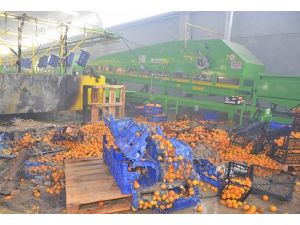 Adana'da fabrika yangını