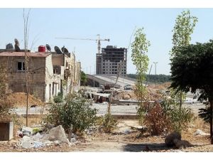 Suriye'de 71 kişi öldürüldü