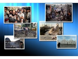 2013 Anadolu Ajansı Yılın Fotoğrafları Yarışması sonuçlandı