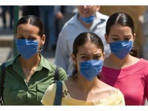 Kanada'da domuz gribi