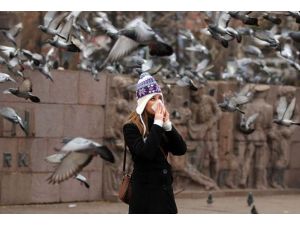 " H3N2 virüsünden nüfusun yüzde 2'si enfekte oldu"
