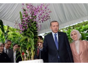 Orkideye isimleri verildi