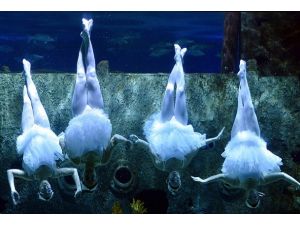 "Dünya Kenti İstanbul" sergisi 18 yıl sonra yeniden açılacak