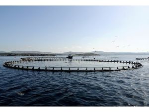 Japonya, 280 adayı kamulaştırıyor