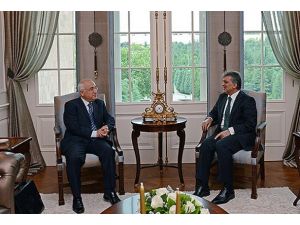 Gül, TBMM Başkanı Çiçek'i kabul etti