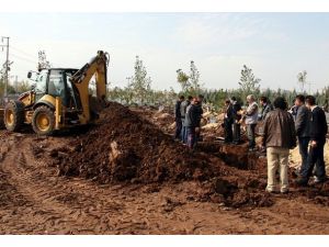 20 yıl sonra mezarları açılacak