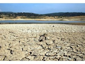 Türkiye'yi kurak bir yıl bekliyor