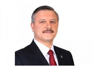 AK Parti'li Çetin disipline sevk edildi