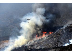 California'da korkutan orman yangını