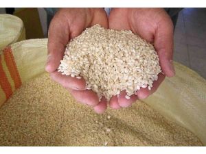 TMO marketlerde pirinç satacak