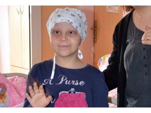 Melis taburcu edildi