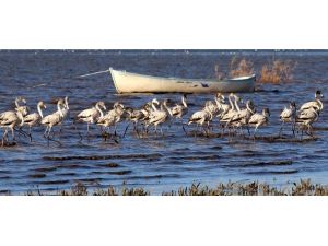 Manyas Gölü 200 metre çekildi