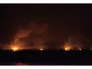 Kızılırmak Deltası'nda yangın