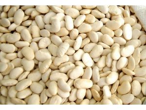 Stokladıkları kuru fasulyeyi piyasaya sürdüler