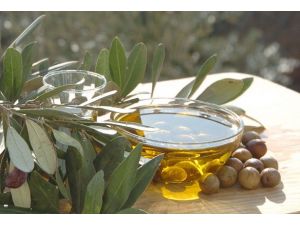 Zeytin ve zeytinyağı 5 ülkede tanıtılacak