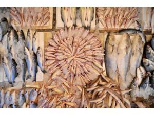 Karadeniz'de balık türleri yok oluyor