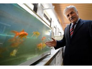 Bursa'nın içme suyu "Japonlara" emanet