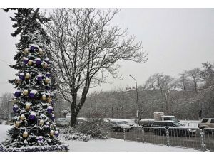 Bulgaristan’da kar yüzünden "sarı alarm"