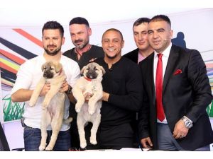 Carlos'a kangal süprizi