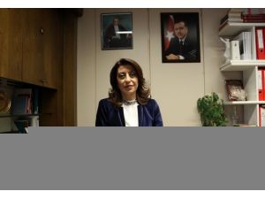 "17 Aralık süreci"ni Avrupa'daki Türklere anlattık