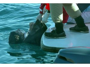 İspanya-Fas sınırında göçmen dramı: En az 11 ölü