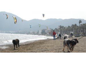 Uçurtma sörfçüleri Marmaris'te
