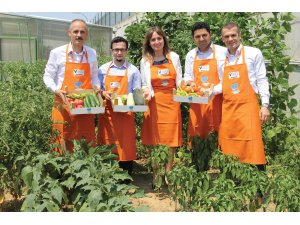 VİKO HOBİ BAHÇESİ…