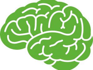 Yarışması’nda Finale Doğru