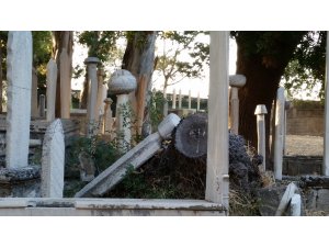 Irmak: Ayıp Ediyorsun Komşu!