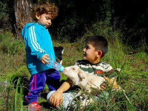 Keşke hep çocuk kalabilseydik.