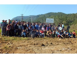 Kutlu Doğum Hatıra Ormanı