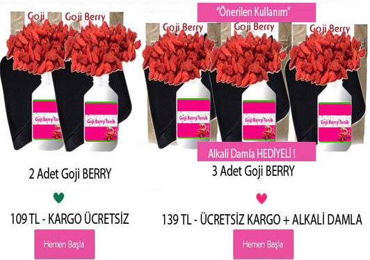 Goji Diyeti İle Spora Son