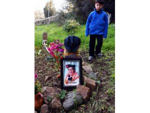 Mahkeme kararını çevrecinin mezarına götürdüler