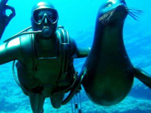 Su altı heykeli törenle denize indirildi