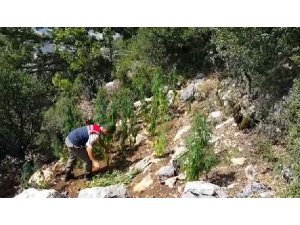 Ormana ekili hintkeneviri ele geçirildi