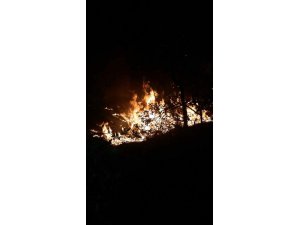 YANGIN KONTROL ALTINA ALINDI