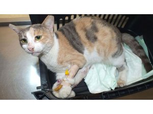 Marmaris'in adını kirletenlerden hesap sorulmalı