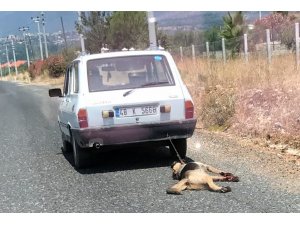 Otomobilin arkasına bağlanıp sürüklenen köpek kurtarıldı